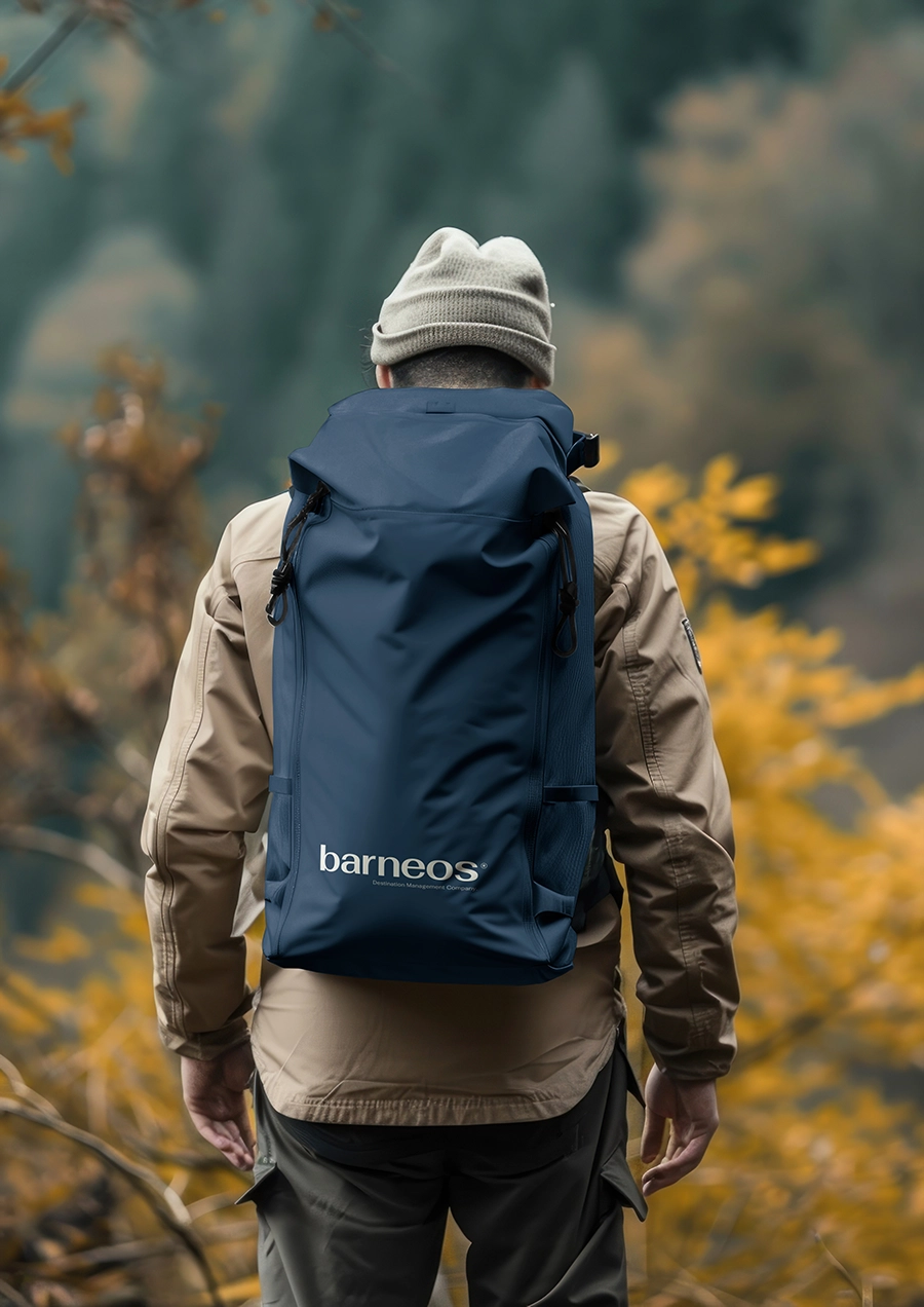 Barneos Backpack